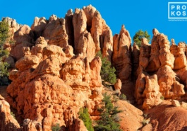A view of Red Canyon in the Dixie National Forest, Utah