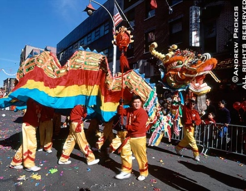 A large dragon parades through Chinatown during the Chinese New Year parade, New York City