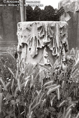 A black and white photo of the capital from a ruined column in the Roman Forum, Rome, Italy. Fine art prints of this photo are available framed in various styles. 