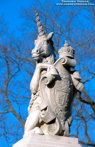 Statue of a unicorn representing the British monarchy from Colonial Williamsburg, VA. Framed fine art prints of this photo are available in various sizes, please inquire. 