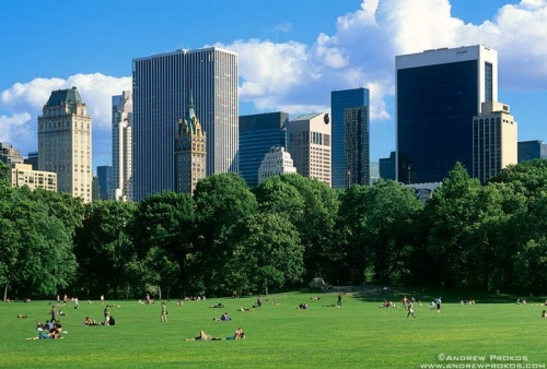 A view of Midtown Manhattan from Sheep's Meadow lawn in Central Park.