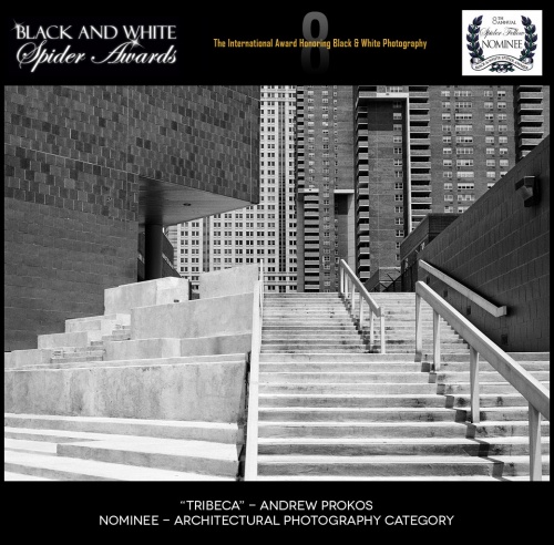 Photographer Andrew Prokos nominated at the Black and White Spider Awards