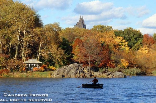 A view of Central Park's Lake in Autumn, New York City