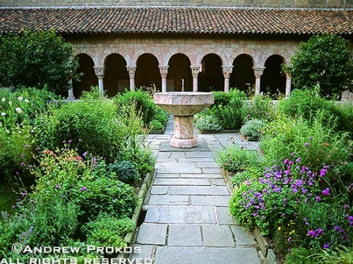 A view of the garden of the Cuxa Cloister in New York's Cloisters Museum. Fine art prints of this photo are available framed in various styles. 
