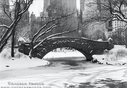 bridge snow black white