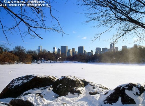 A Winter Central Park landscape with the Lake frozen under a blanket of snow