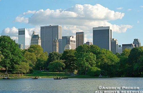 Midtown Manhattan's skyline as seen from the lake in Central Park, New York City -
