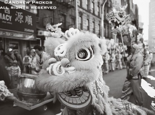 A man wearing a dragon costume during Chinese New Year festivities in Chinatown, New York City. Fine art prints of this photo are available framed in various styles, please inquire.