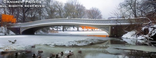 Panorama of Central Park in Winter with Bow Bridge under a blanket of snow, New York City