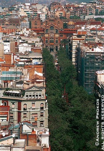 View of Barcelona from Sagrada Familia