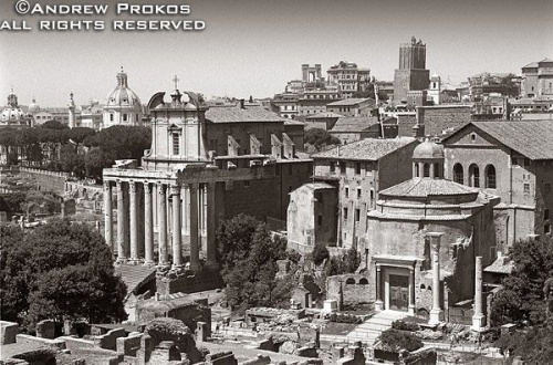 A view of the ancient Roman Forum in black and white, including the ancient Senate and the Temple of Antoninus and Faustina (currently the Church of San Lorenzo in Miranda), Rome, Italy