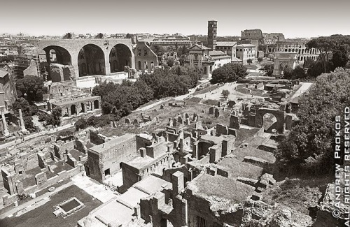 A panoramic view of the ancient Roman Forum in black and white, Rome, Italy