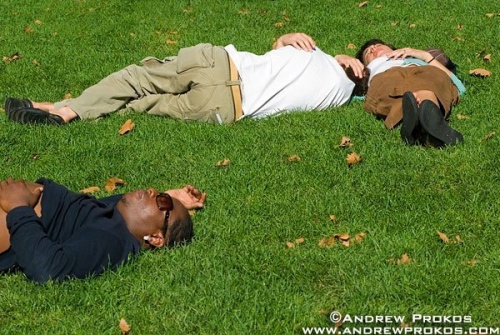 People nap on the grass on a warm late summer day in Bryant Park