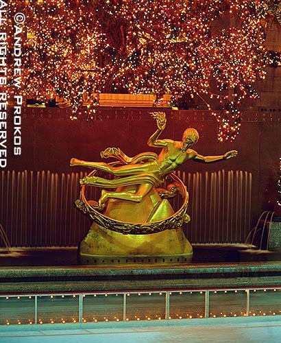 Rockefeller Center's famous statue of Prometheus under lighted Christmas tree