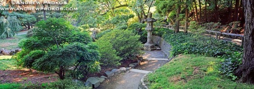 A high-definition panoramic landscape photo from the Japanese Garden at the Brooklyn Botanic Garden in New York City