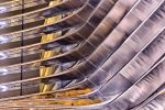 A close-up architectural detail of the curved stainless steel banded facade at the ALIF - Mobility Pavilion at the Dubai World Expo captured at night. Large-scale fine art prints of this fine art architectural photo are available up to 60 inches.