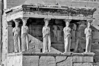 Acropolis Museum Interior With Caryatids, Athens - Architectural Photo ...