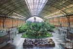 A view of the interior of Atocha train station in Madrid, Spain. Framed fine art prints of this photo are available in various sizes.