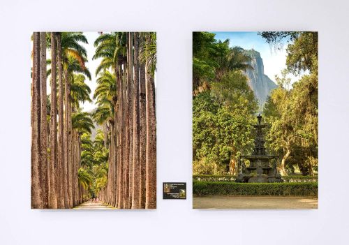 Two landscape prints from Rio de Janeiro's Jardim Botanico (Botanic Garden) by photographer Andrew Prokos in an exhibition at Banco do Brasil