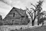Black and white photo of an abandoned homestead in Biglow Canyon, Oregon.