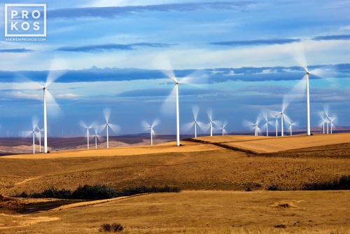 A landscape photo of a field of wind turbines in motion at the Biglow Canyon, Oregon wind farm. Limited edition fine art prints of this photo are available framed in various styles. 