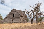 A color landscape photo of an abandoned farmhouse found in Biglow Canyon, Oregon.