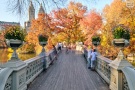 View Of Bow Bridge In Autumn Central Park Landscape Photography PROKOS