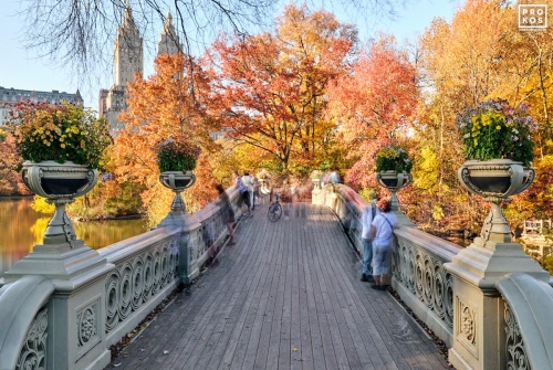 Bow Bridge, Central Park - New York in Autumn - A six minute long-exposure photograph of Central Park's Bow Bridge in Autumn, New York City