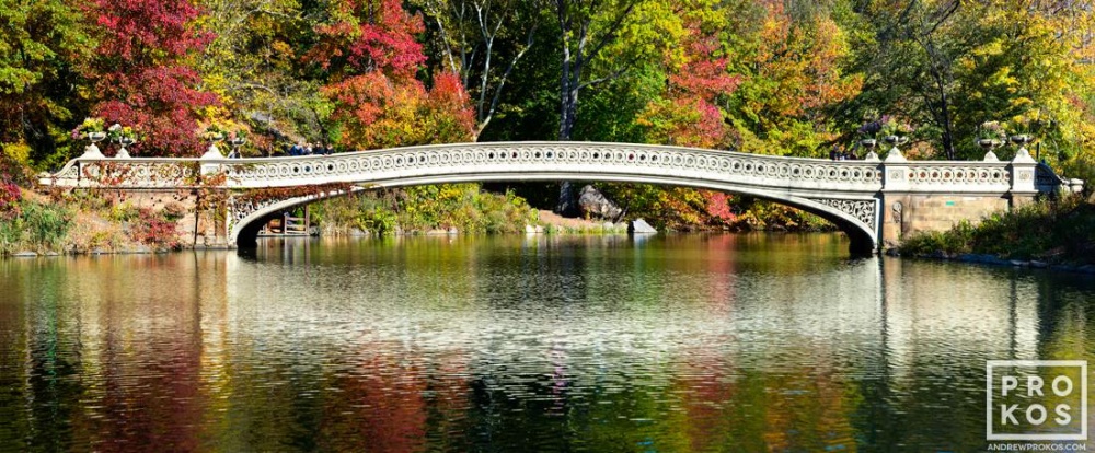 Panoramic View Of Bow Bridge In Autumn Central Park High Definition