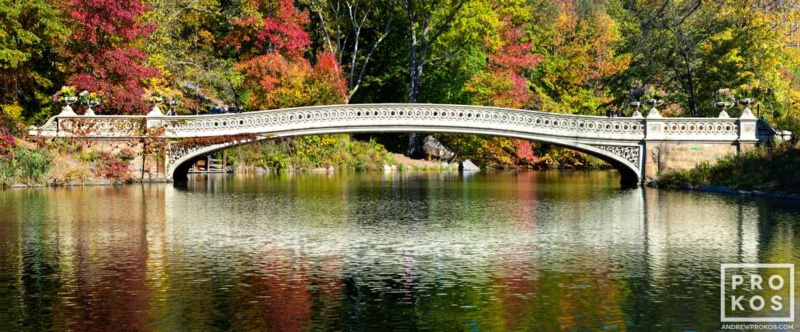 Panoramic View of Bow Bridge in Autumn, Central Park - High-Definition ...