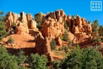 A view of Red Canyon in the Dixie National Forest, Utah