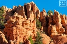 A view of Red Canyon in the Dixie National Forest, Utah