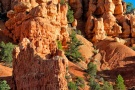 A landscape photo of the rock formations of Red Canyon in the Dixie National Forest, Utah