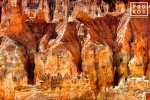 A landscape photo of the colorful Hoodoos (rock pinnacles) found at Sunset Point in Bryce Canyon, Utah