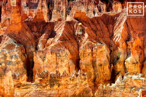 A landscape photo of the colorful Hoodoos (rock pinnacles) found at Sunset Point in Bryce Canyon, Utah
