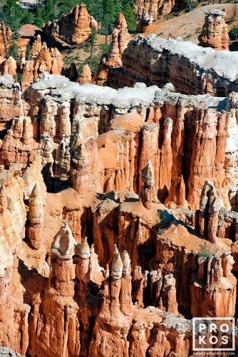 A landscape photo of the unique Hoodoo formations (rock pinnacles) found in Bryce Canyon, Utah