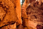 A landscape photo of a cavern on the Navajo Trail in Bryce Canyon, Utah