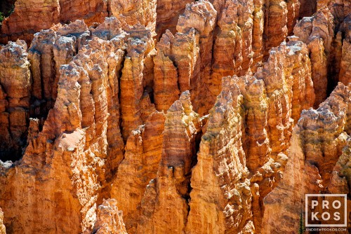 A landscape photo of the colorful Hoodoos (rock pinnacles) in Bryce Canyon, Utah
