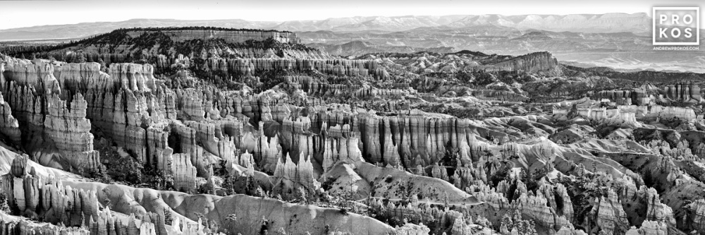 Panoramic Landscape of Bryce Canyon II (B&W)