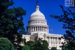 A view of the United States Capitol in Summer, Washington DC