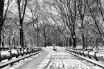 A panoramic landscape photo of the snow covered benches of Central Park in Winter in black and white, New York City