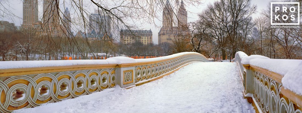 Panoramic View of Bow Bridge in Winter I