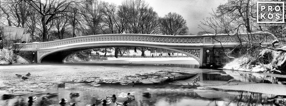 Panoramic View of Bow Bridge in Winter II - B&W Landscapes - PROKOS