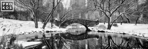 A black and white panoramic view of Gapstow Bridge and the Lake in Central Park in Winter