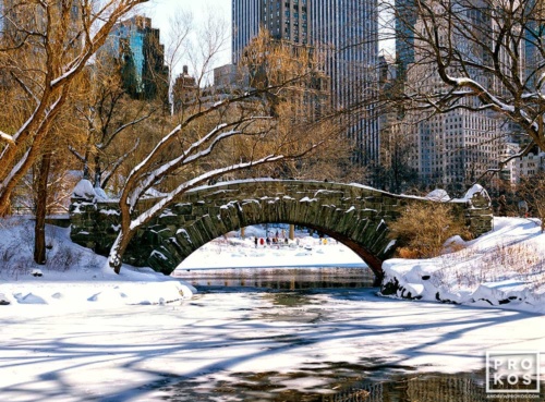 A color landscape photo of Central Park's Gapstow Bridge spaning a frozen Pond in Winter, New York City