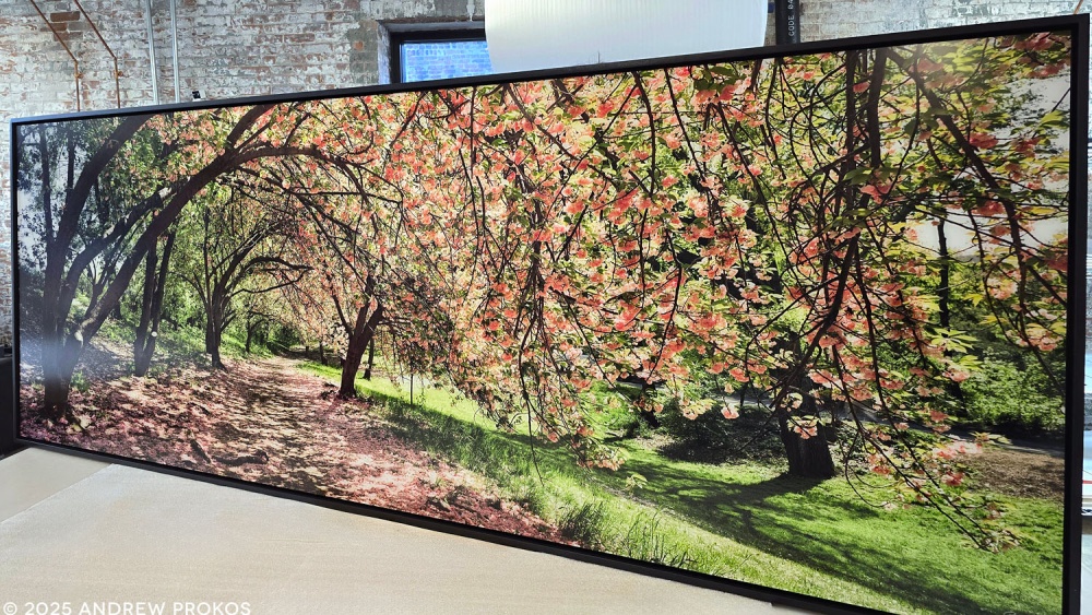 A 35x96 inch framed photography print of the Japanese cherry blossoms in Central Park NYC by fine art photographer Andrew Prokos