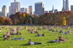 Central Park. New York - A four minute long-exposure photograph of people enjoying Sheep Meadow, in New York's Central Park