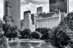 A black and white photo of the Plaza Hotel and Fifth Avenue skyline as seen from the Pond in Central Park, New York City. Limited edition fine art prints of this photo are available up to 60" in height and framed in various styles.