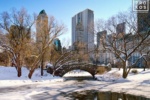 A color landscape photo of Central Park's Gapstow Bridge and Pond in Winter, with the Manhattan skyline in the background, New York City. Fine art prints of this photo are available framed in wood, metal, and acrylic styles. 
