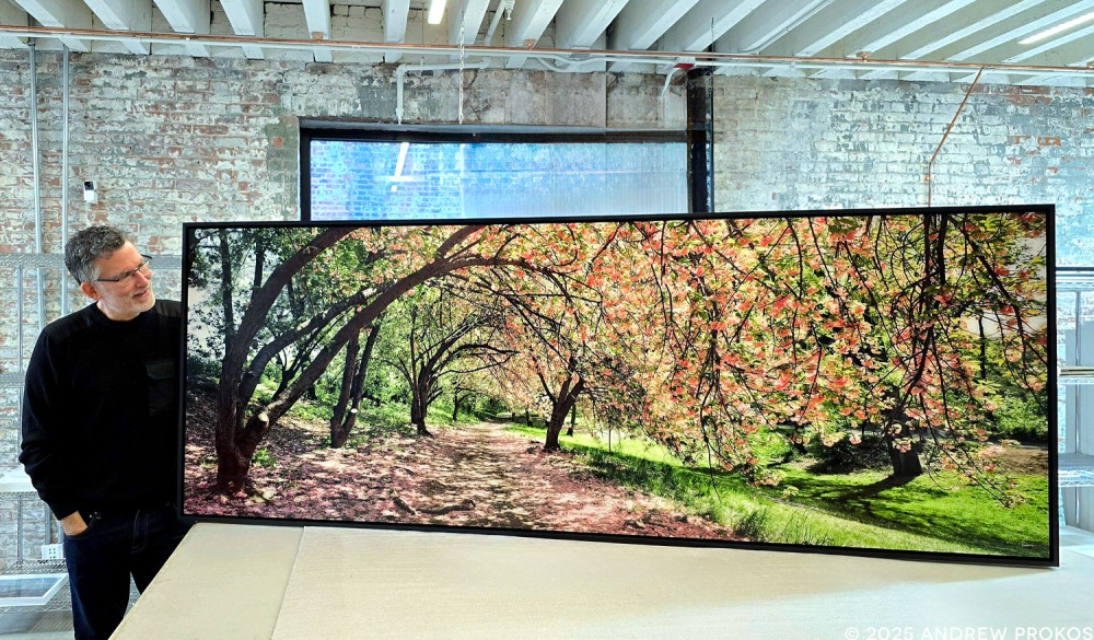 Fine art photographer Andrew Prokos with a 35x96 inch framed photography print of Spring Cherry Blossoms Panoramic Landscape, Central Park NYC